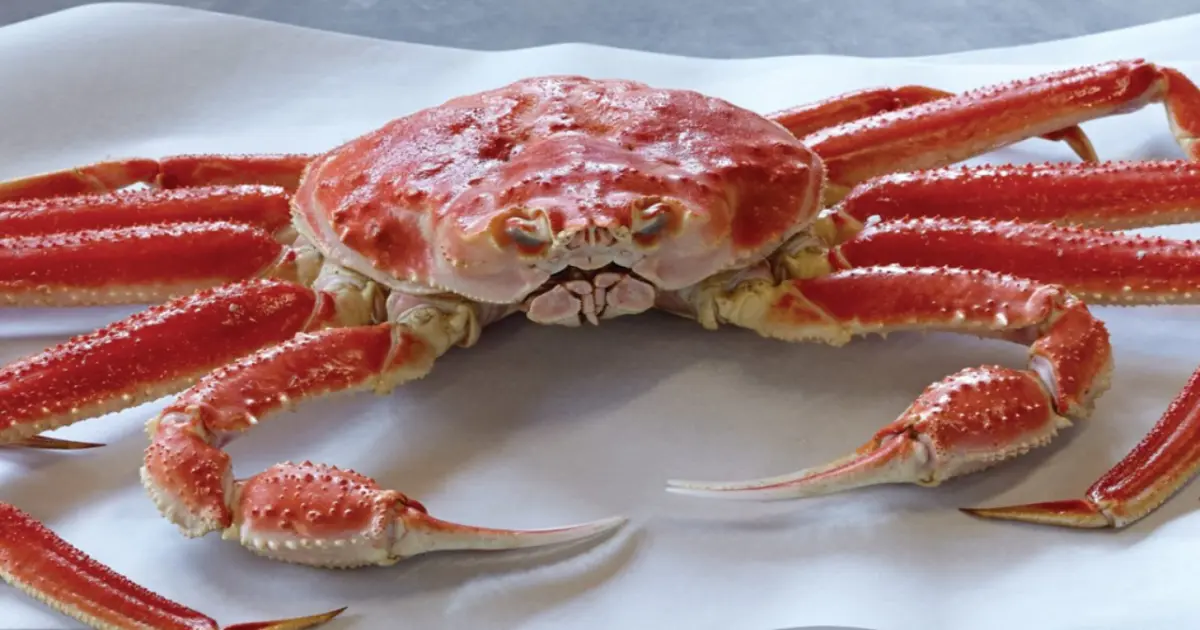 Alaska Snow Crabs A Delectable Delight from the Icy Waters